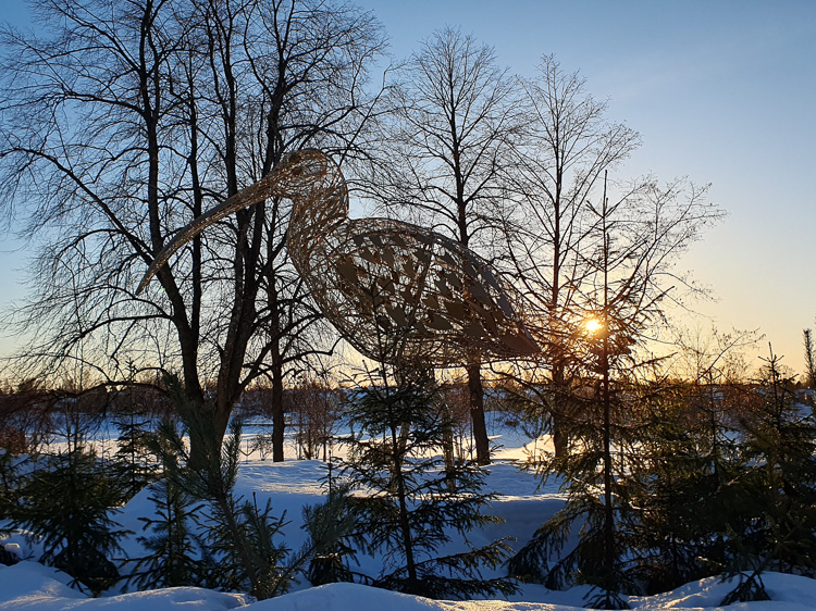 Umeå