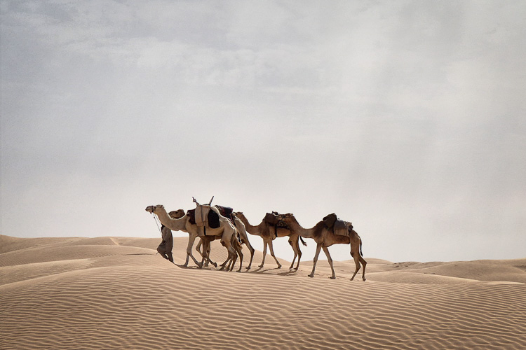 Tunisia